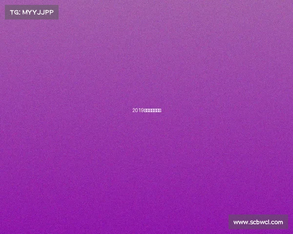 2019端午赛龙舟视频