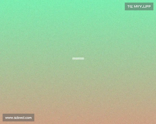 墨西哥瑞典球迷庆祝