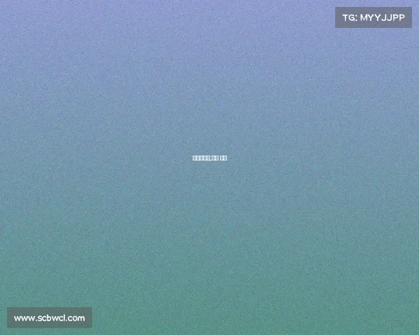 排球赛赛事,排球 赛事